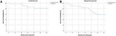 Frontiers | Small Bowel Neuroendocrine Tumors: An Analysis Of Clinical ...